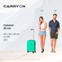 CarryOn Connect (S) Green 32 л валіза з полікарбонату на 4 колесах зелена